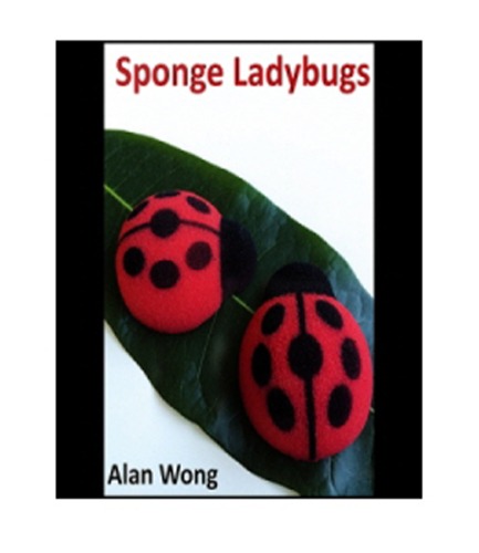 Sponge Lady Bugs