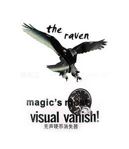 레이븐 (보급형) [해법제공]Raven