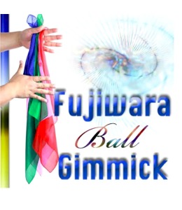 후지와라 볼 (기믹포함)   Fujiwara Ball - DVD