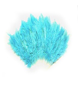 초록색깃털 부채Green feather fan