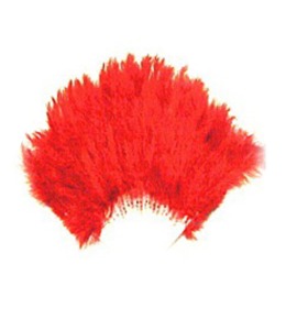 빨강색 깃털 부채 Red feather fan
